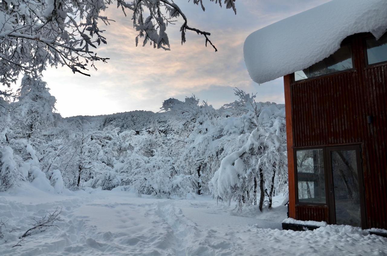 Chalet Cipres 라스 트란카스 외부 사진
